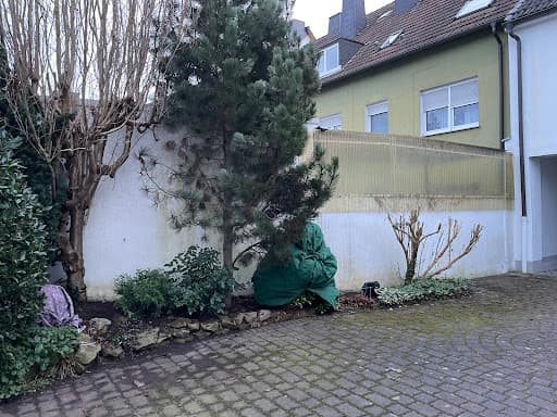 Zimmerei Zimmermann GmbH — Kundenfoto